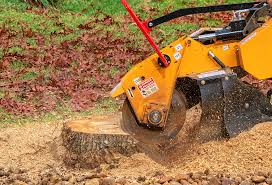 How Our Tree Care Process Works  in  Centereach, NY