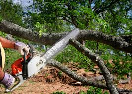 Best Lawn Maintenance Plans  in Centereach, NY
