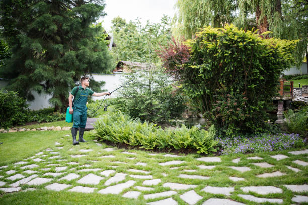 Best Organic Lawn Care Solutions  in Centereach, NY