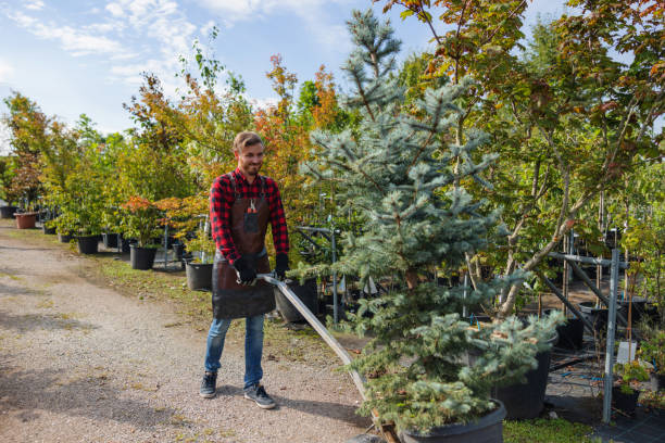 Best Grass Overseeding  in Centereach, NY